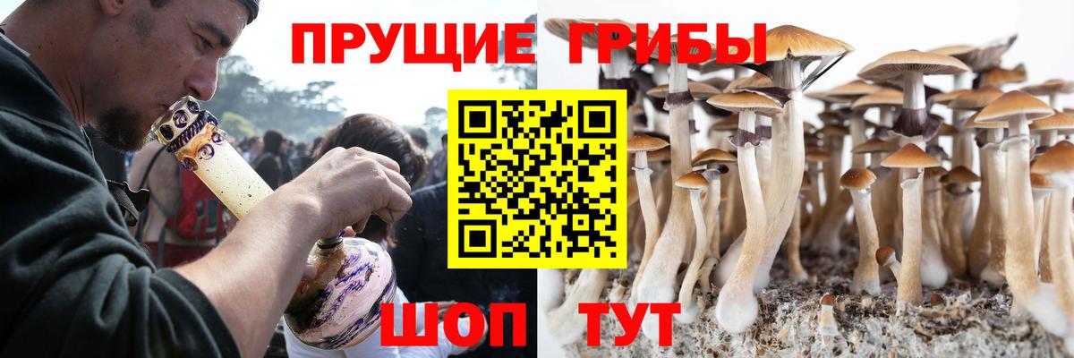 Галлюциногенные грибы мухоморы  Вход с VPN  Ачинск  купить наркоту  Галлюциногенные грибы Magic Shrooms 